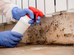 Mold Removal for HVAC Installations in Oak Park Heights, MN